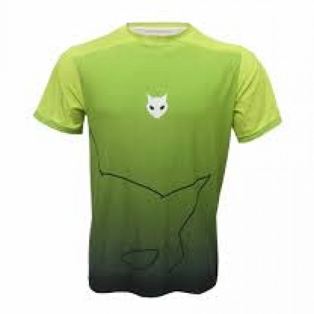 remera-felina-249